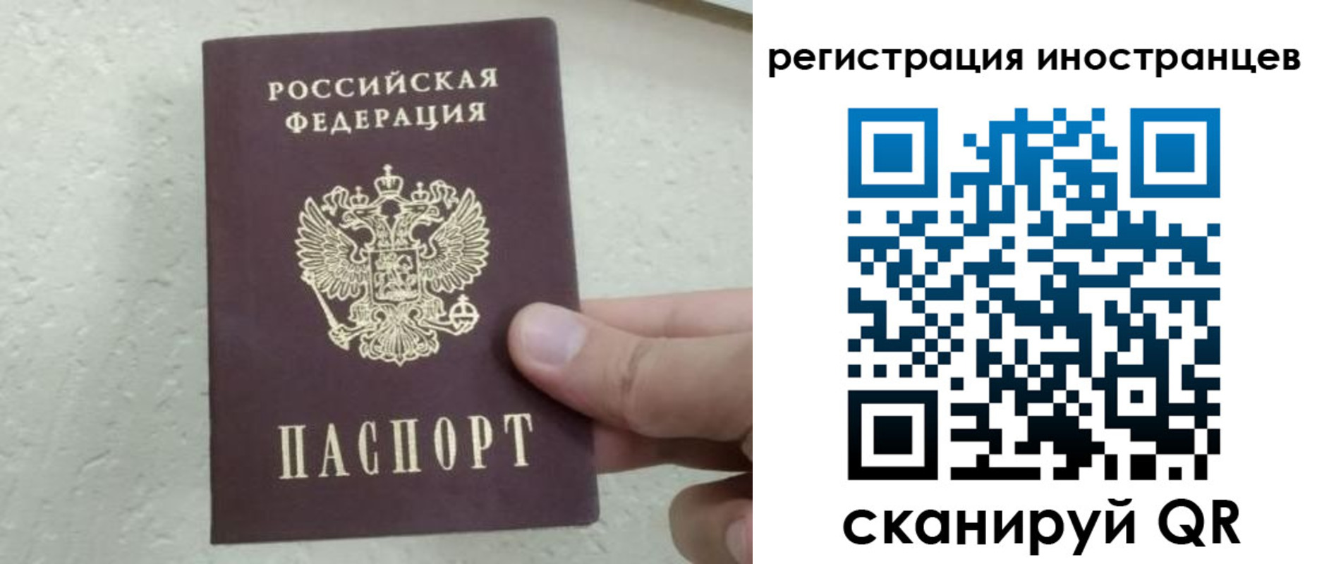 временная регистрация для школы в Мурманске